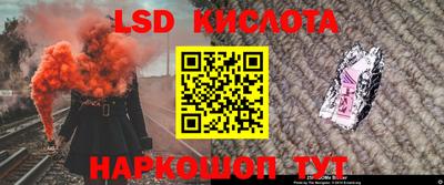 твердый Бердск