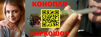 твердый Бердск