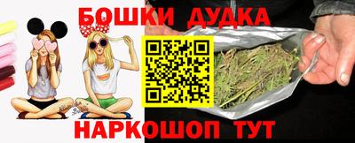 твердый Бердск
