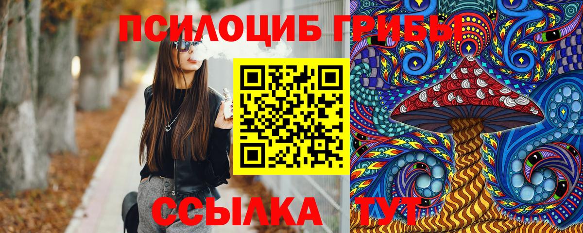 Галлюциногенные грибы Psilocybe Асино